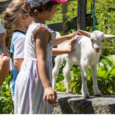 Ateliers immersifs et dégustation de produits locaux - été